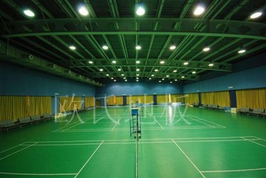 奉節羽毛球木地板哪個好