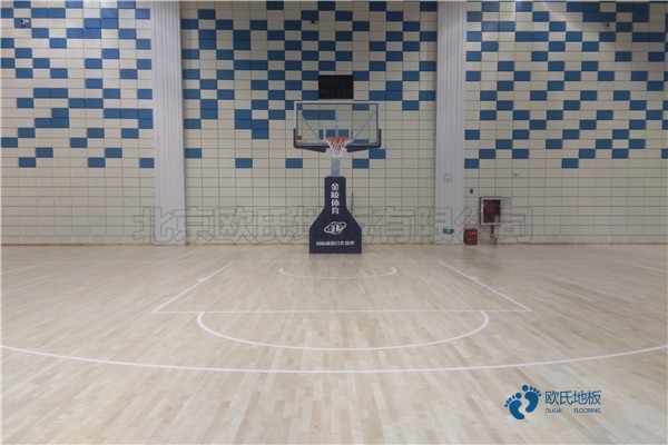 有什么專業體育場館木地板