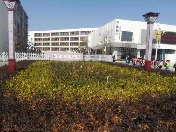 籃球木地板哪個牌子更環保