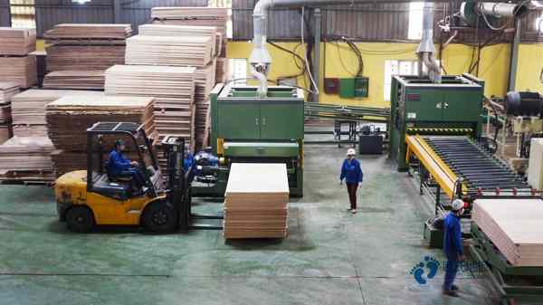 籃球館木地板設備