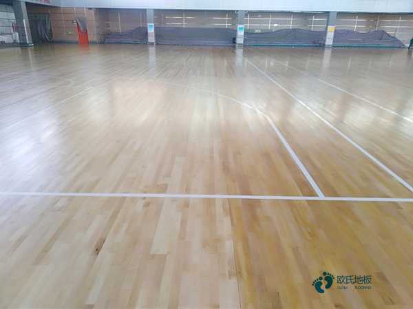 松木運動場館地板維護保養
