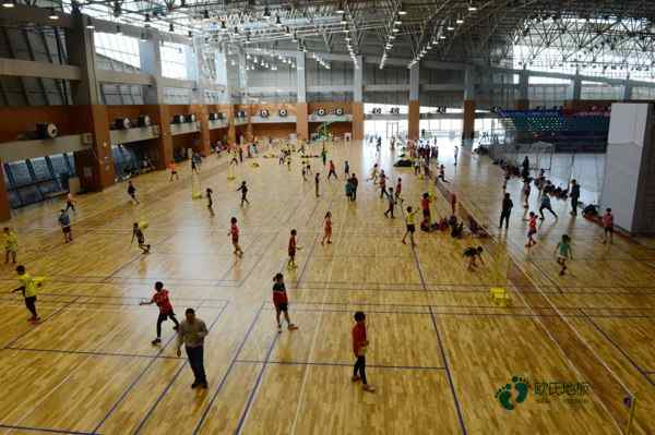 松木體育籃球木地板環保嗎