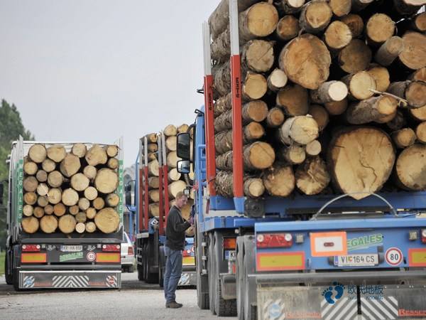 楓木運(yùn)動(dòng)籃球地板怎樣保養(yǎng)