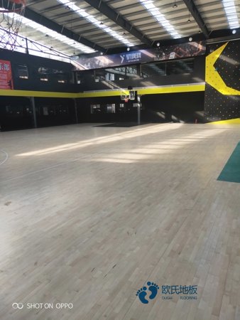 楓木籃球體育木地板怎么保養
