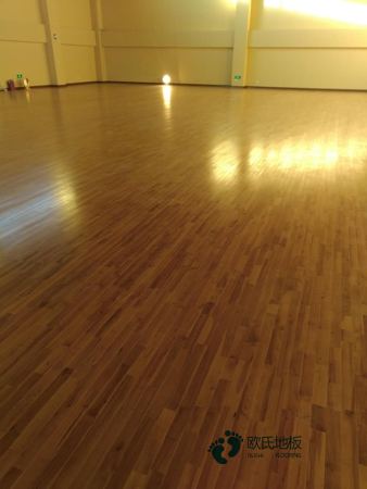 哪有運動場木地板行業品牌