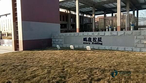 學校籃球場木地板的防火等級