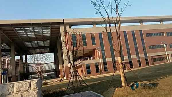 學校籃球場木地板的防火等級