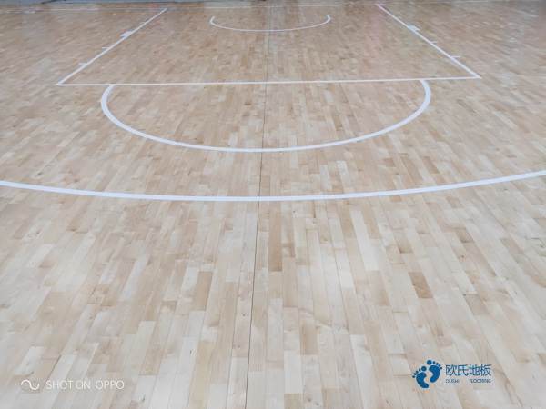 學(xué)?；@球場館木地板圖解