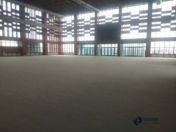 學校籃球場館地板特性