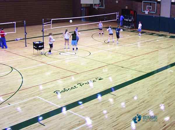 體育籃球地板哪個牌子性價比高