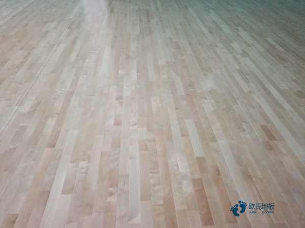 批發體育籃球木地板大約多少錢