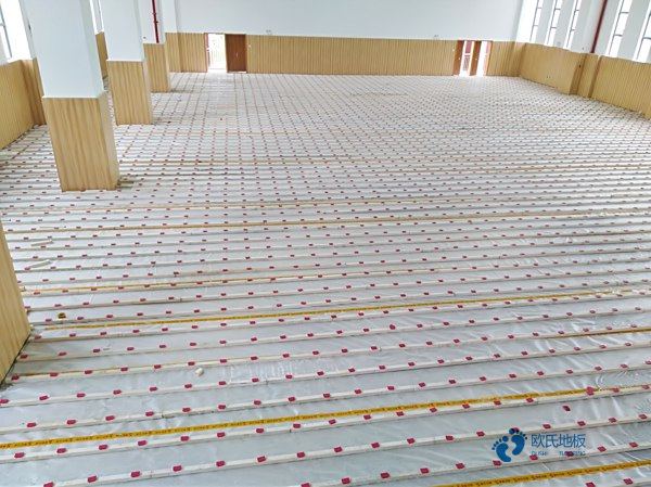 批發體育籃球木地板要多少錢