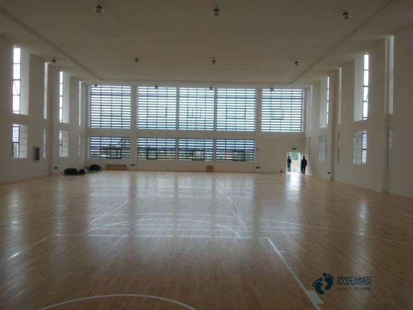 哪里有籃球木地板價格表