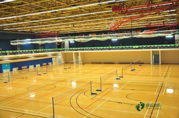 籃球場木地板平米價3