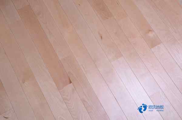 學校運動籃球木地板1