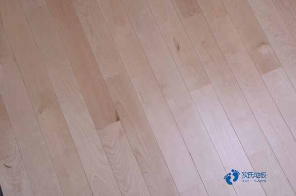 學校運動籃球木地板3