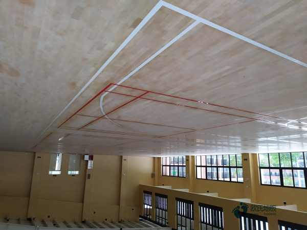 歐氏22mm厚運動場館木地板1