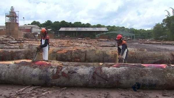 那有體育運動木地板防護