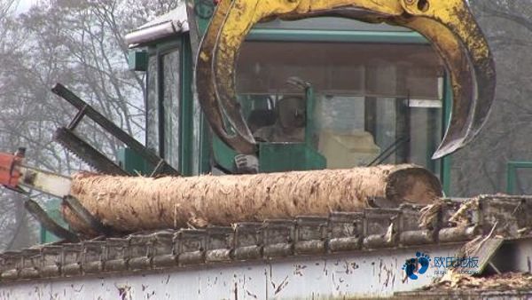 那有體育運動木地板防護