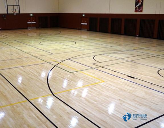學?；@球場木地板標準3