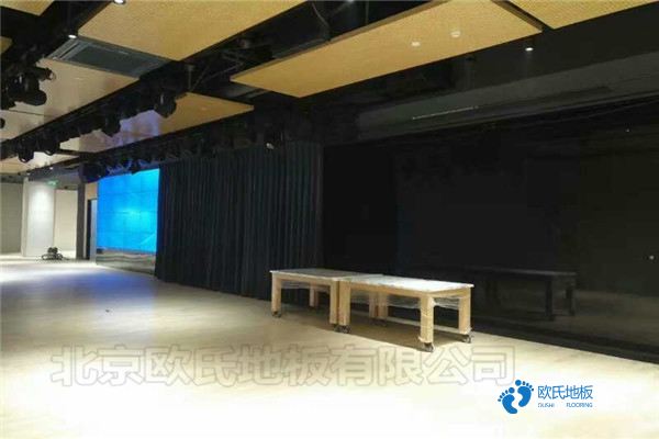 學?；@球場館木地板標準1
